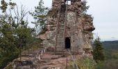 Tocht Paardrijden Schönau (Pfalz) - suuntoapp-HorsebackRiding-2024-09-29T07-15-12Z - Photo 6