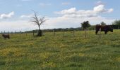 Randonnée Marche Talmontiers - Talmontiers, Les landes - Photo 11