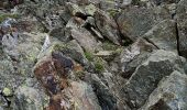 Excursión Senderismo Bourg-Saint-Maurice - Le Miravidi et presque l'aiguille de Veis - Photo 3