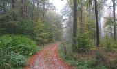 Trail On foot Nieste - Nieste - Fuhrmannstein - Photo 5