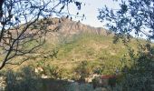 Trail On foot Levanto - Tuvo – C.sa Massola – M.Focone - innesto 591 - Photo 4