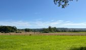 Tour Wandern Annéville-la-Prairie -  Etang d’Anneville - Photo 3