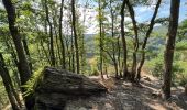 Excursión Senderismo Bouillon - Lés échelles de Rochehaut - Photo 15