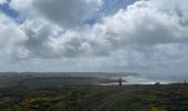 Trail Walking Crozon - Tours Plage de Goulien  pointe de Dinan - Photo 18