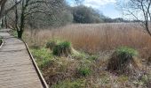 Tour Wandern Lanester - PR_56_Lanester_BA_02_Circuit1b_Marais-De-La-Goden_20230314 - Photo 9