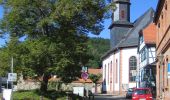 Tour Zu Fuß Hofheim am Taunus - Rundwanderweg Eichhorn - Photo 3