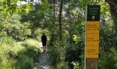 Trail Walking Die - Le Dôme ou Pié Ferré de l'Abbaye Valcroissant - Photo 10