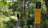 Tocht Stappen Die - Le Dôme ou Pié Ferré de l'Abbaye Valcroissant - Photo 10