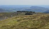 Randonnée A pied Unknown - Black Mountains Fell Race - Photo 10