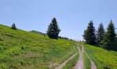 Tour Wandern Crêts-en-Belledonne - LE GRAND ROCHER PAR LE REFUGE DU CRET DU POULET - Photo 18