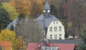 Tour Zu Fuß Steina - Rundwanderweg Gelber Punkt Ohorn - Steina - Luchsenburg - Photo 8