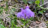 Trail Walking Revel - Lac du Crozet - Photo 11