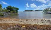 Excursión Marcha nórdica La Trinité - Usine du Galion - les étangs - mangrove  Woz  - Photo 8