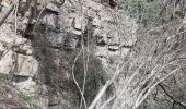 Trail Walking Trooz - trooz - Photo 14