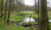 Tour Zu Fuß Januszno - Dąbrowa nad Zagożdżonką - Photo 3