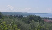 Tocht Stappen Acquapendente - CR_Francigena_DK_47_Acquapendente_Bolsena_20230530 - Photo 14