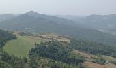 Randonnée Marche Thoard - THOARD . CHAPELLE S MADELEINE . CARRIERE DE GYPSE O L S - Photo 5