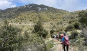Trail Walking Castillon - Castillon : Mt Ours - Photo 8