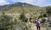 Randonnée Marche Castillon - Castillon : Mt Ours - Photo 8