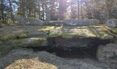 Randonnée Marche Sainte-Marie-aux-Mines - la croix de Ribeauvillé  - Photo 18