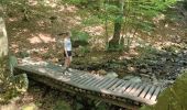 Trail Walking Spa - GrWandArdRiv 12: Spa de Barisart en Geronstère bronnen (PVDB) - Photo 19