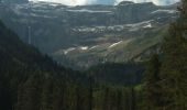 Tour Wandern Gavarnie-Gèdre - Cirque de Gavarnie - Montée par chalet de Pailha - Photo 6