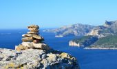 Excursión Senderismo Cassis - Pas de la Colle - Falaises Soubeyranes - Sémaphore du Bec de l'Aigle - Anse de Figuerolles - Parc Mugel - La Ciotat - Photo 13