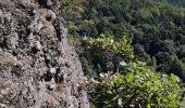 Excursión Senderismo Chambon-sur-Lac - Chambon Murol - Photo 13