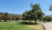 Tocht Stappen Vitacura - Parque Bicentenario - Photo 9