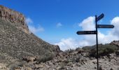 Tocht Stappen La Orotava - Canaries - Tenerife  - Ascension du Guajara - Photo 2