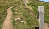 Trail Walking La Bresse - Autour du Hohneck - Photo 6