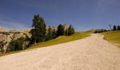 Randonnée A pied Cortina d'Ampezzo - Hotel Serena - Mandres - Lago Scin - Photo 5