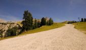 Percorso A piedi Cortina d'Ampezzo - Hotel Serena - Mandres - Lago Scin - Photo 5