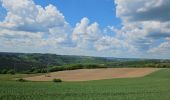 Tour Wandern Goesdorf - Goebelsmühle  - Photo 9
