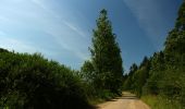 Randonnée A pied Huczwice - Ścieżka przyrodnicza na Przełęcz Żebrak - Photo 9