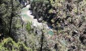 Tour Wandern La Palud-sur-Verdon - Chemin Martel  - Photo 18