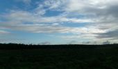Trail Walking Oissel - 20231128-les essarts cool - Photo 14