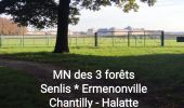 Randonnée Marche Chantilly - JG Chantilly Toudouze  ecuries Ctx - Photo 1