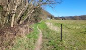 Tour Wandern Wanze - Bas Oha 180325 - Photo 5