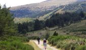 Randonnée Marche Mont Lozère et Goulet - GR_70_AG_07_Mont-Lozere-Goulet_Cubieres_20140921 - Photo 4