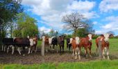 Trail Walking Jalhay - boucle autour des ruisseaux le louba et la gileppe  - Photo 1