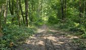 Tour Wandern Maisse - Maisse - Forêt communale de Milly-la-Forêt - Photo 11