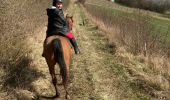 Trail Horseback riding Bénaménil - Élodie tiboy Vispa  - Photo 8