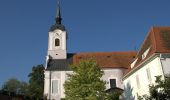 Tocht Te voet Stubenberg - Kreilkogelrunde - Photo 1