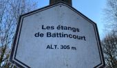 Tocht Stappen Aubange - Les étangs de Battincourt depuis Rachecourt  - Photo 13