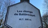 Randonnée Marche Aubange - Les étangs de Battincourt depuis Rachecourt  - Photo 13