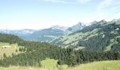 Tocht Stappen La Clusaz - Le Lac de Tardevant - Photo 7