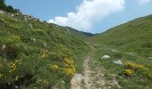 Percorso A piedi Ledro - Sentér de Saval - Photo 5