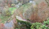 Trail Walking Bouillon - Bouillon L’Epine - Photo 5