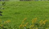 Tocht Stappen Gouvy - la ferme de la Hé Cierreux - Photo 4